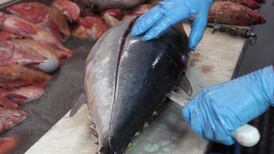 Fish plant penalised €45,000 for tampering with weighing scales