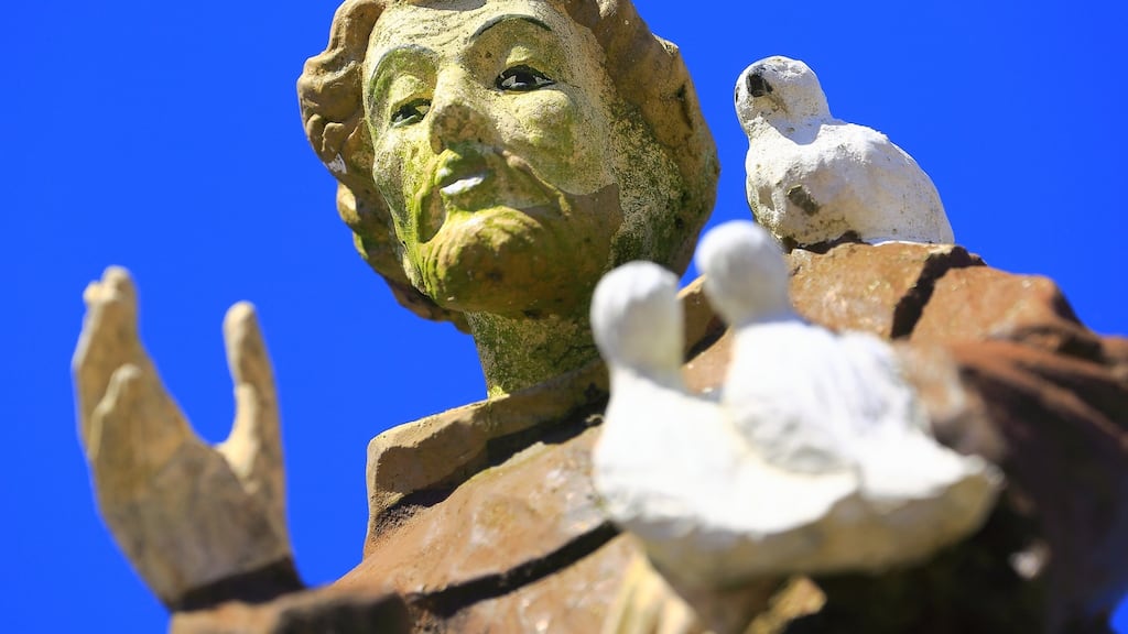 Photograph: Augusta Vop/iStock