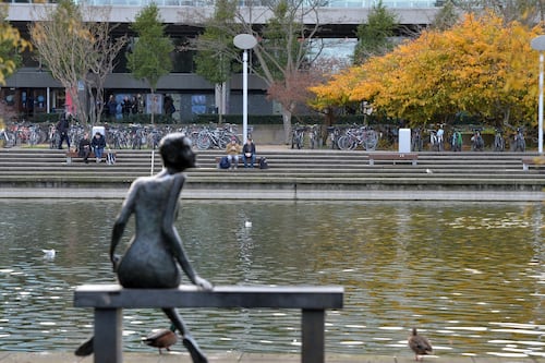 ‘It feels like being exiled at your own institution’