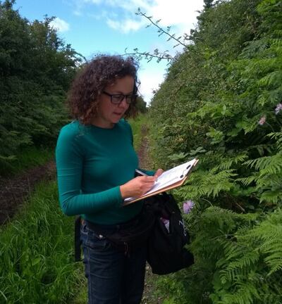 Appraising the hedgerow in Coole