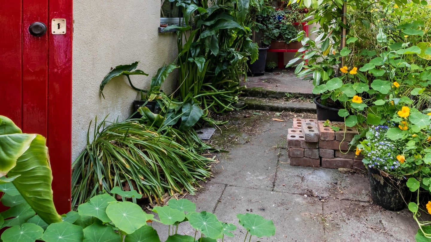 The small, enclosed rear garden