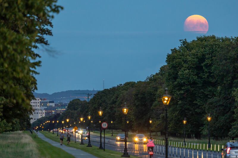 The super blue moon is seen over Dublin's Phoenix Park. Photograph: Gary Ashe
