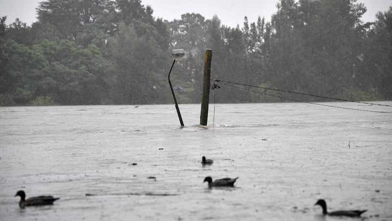 Ducks swim inside a flooded park along the overflowing Nepean river in the Penrith suburb of Sydney on March 21st, 2021. Photograph: Saeed Khan/AFP via Getty