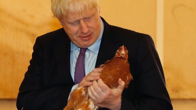 British prime minister Boris Johnson inspects poultry at Shervington Farm, near Newport, Wales, on Tuesday. Photograph: Adrian Dennis/Getty Images