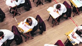 Traveller children being channelled into unofficial ‘Traveller schools’, Oireachtas told