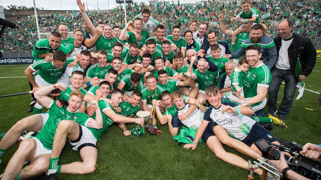 Limerick dominate the hurling All Stars nominations. Photograph: Tommy Dickson/Inpho