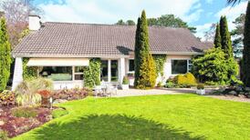 Gardens to make you weep at Willow’s in Foxrock