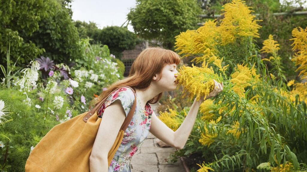 Wake up and smell the flowers this summer. Photograph: Getty Images/Cultura RF