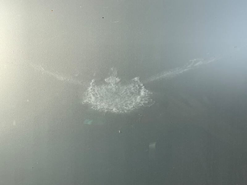 Dove on glass. Photograph supplied by Ciaran O'Keeffe