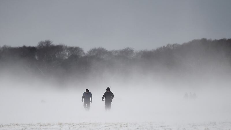 People walk through snow at the Phoenix Park in Dublin. Photograph: Clodagh Kilcoyne/Reuters