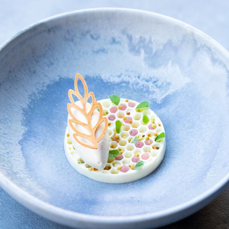 At Michelin-starred Aniar, all chef-patron JP McMahon’s dishes are presented dramatically