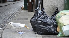 The Irish Times view on Ireland’s litter problem: dirty old towns
