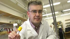 Eleven researchers in Irish universities named among world’s top 3,000