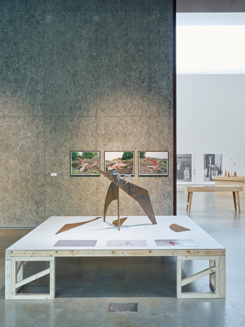 Dreamtime Ireland. Photograph: Ros Kavanagh