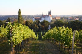 John Wilson’s guide to German wines: did you know that most of them are now dry?