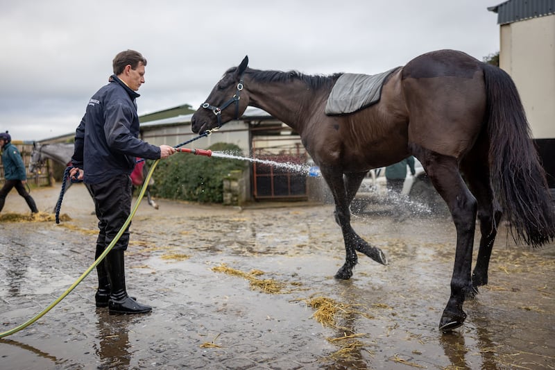 Jockey Paul Townend has admitted to being 'humbled' by the scale of the acclaim given to Galopin Des Champs at Christmas and suspects the horse may now be at his peak. Photograph: Morgan Treacy/Inpho