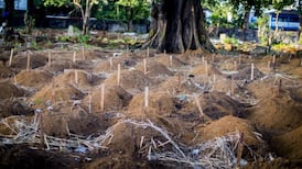 Irish burial experts help control Ebola outbreak in Sierra Leone