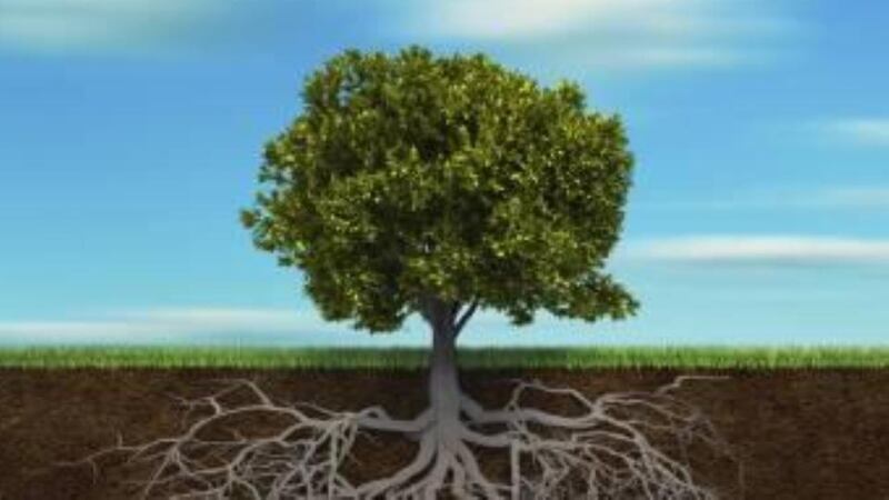 Irish Roots: Leave something for the next generation to discover