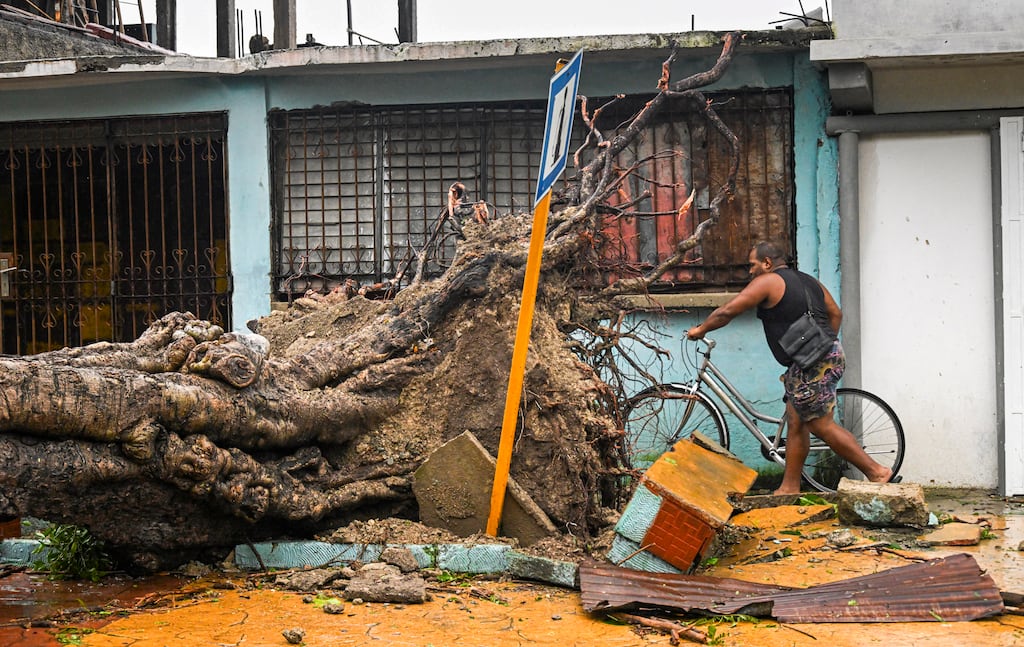 A man walks past a fallen tree after Hurricane Melissa struck a neighborhood in Santiago de Cuba on Wednesday. Photograph: Yamil Lage/AFP via Getty Images