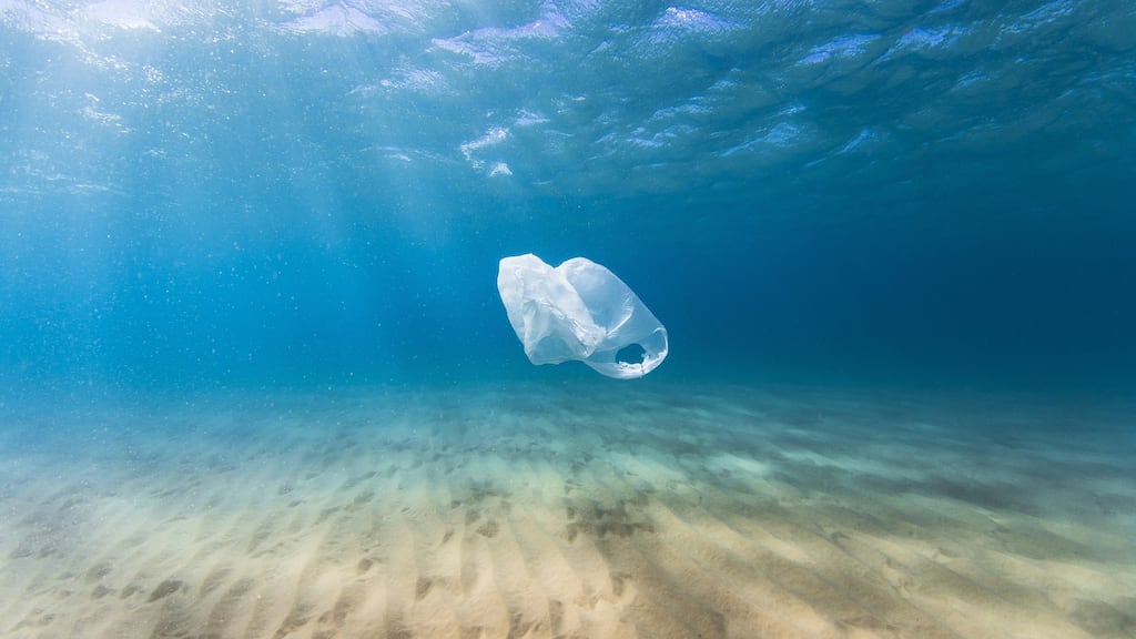 A plastic bag drifts in the ocean as a result of human pollution. Photograph: Getty Images