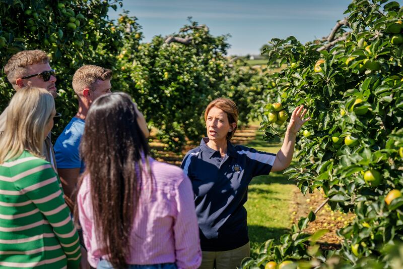 Visitors can learn about the heritage of apple growing in Armagh during the orchard tour at the Long Meadow Orchard Cider Experience. Photograph: Rob Durston