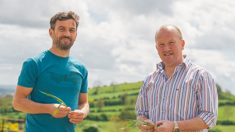 Fintan and Turlough Keenan are brothers, farmers, entrepreneurs and wheat specialists. Photograph: Claire-Jeanne Nash