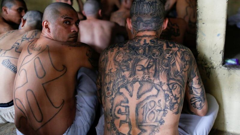 Gang members sit inside a cell at Izalco jail. Photograph: Jose Cabezas/Reuters