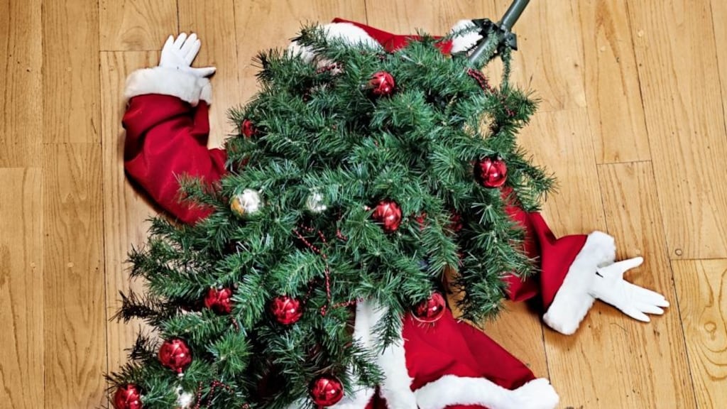 Every year in the UK about 1,000 people are injured by Christmas trees, usually while fixing stars, lights or other decorations to the higher branches. Photograph: iStock