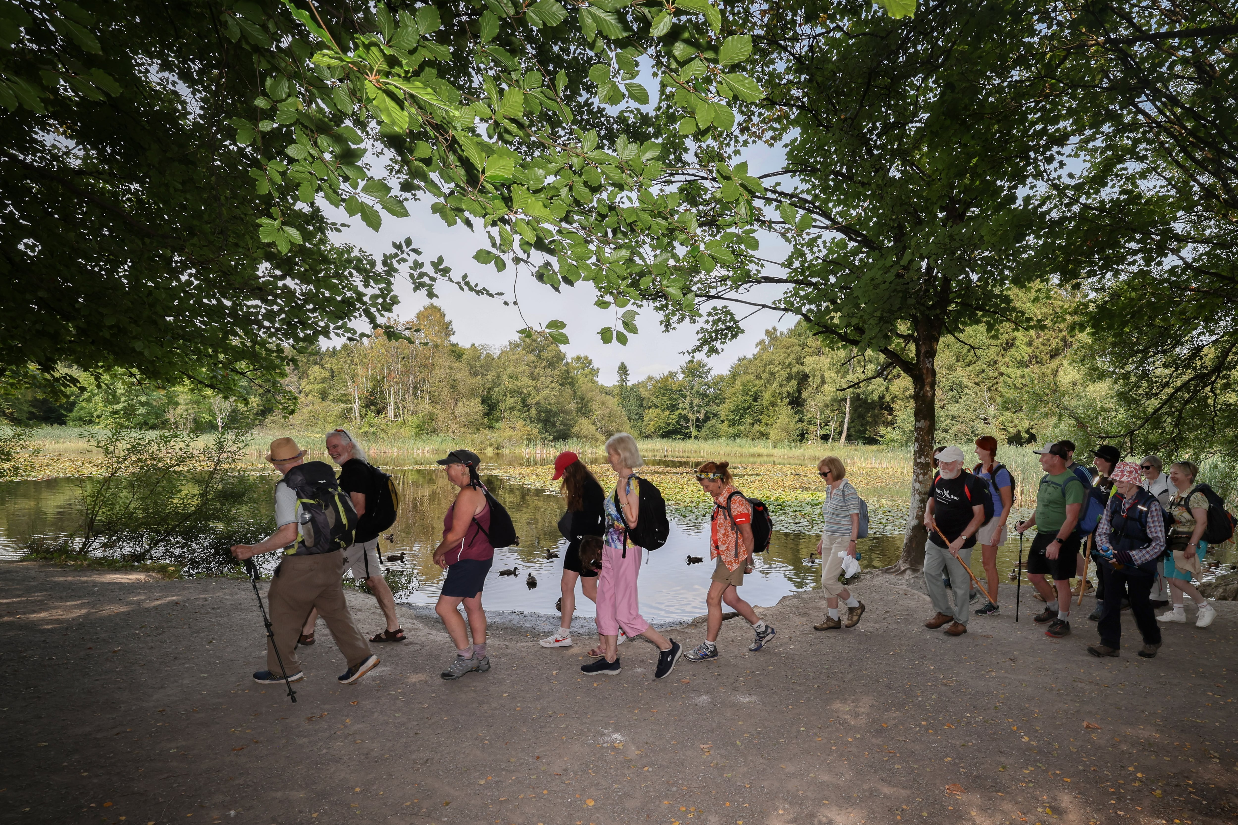 Irish Caminos: On Brigid’s Way, we learn that it is better to bend than break