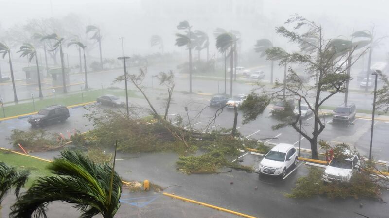 Trees are toppled in a parking lot at in San Juan, Puerto Rico, during the passage of the Hurricane Maria. Photograph: Hector Retamal/AFP/Getty Images