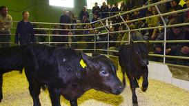 Department of Agriculture says livestock mart sales must continue online only