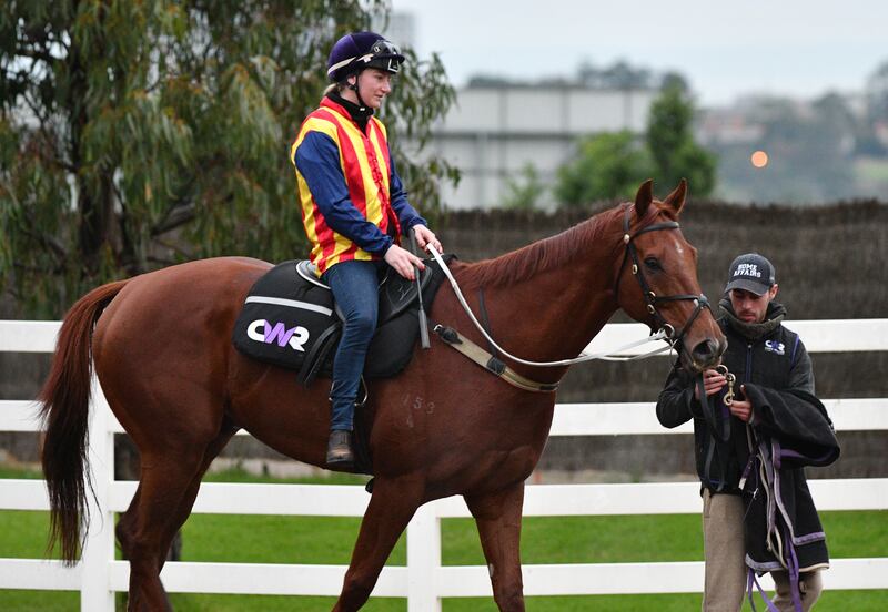 Jamie Kah riding Nature Strip after a jump out down the straight at Flemington Racecourse in Melbourne, Australia. Photograph: Vince Caligiuri/Getty