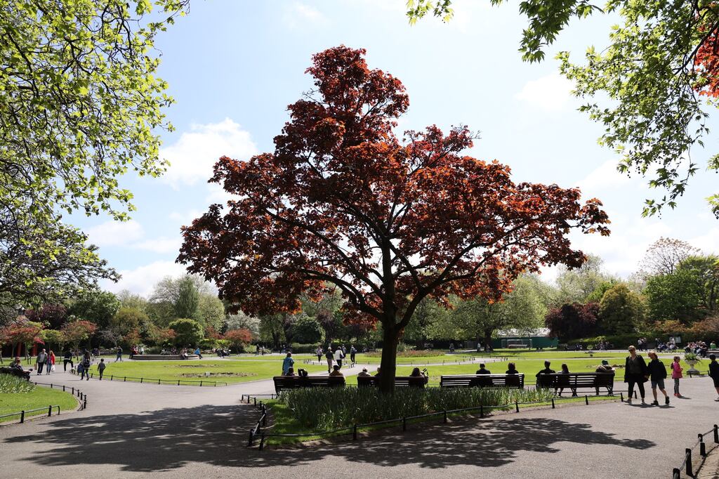 Temperatures reached 21.3 degrees on April 16th, but there is a strong possibility that could be surpassed on Saturday. Photograph: Nick Bradshaw/The Irish Times