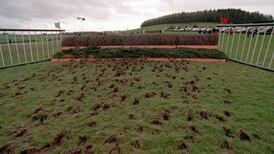 Unpredictable panels delivering feeble penalties don’t help deterrent factor