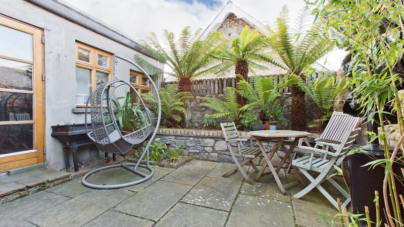 Patio garden with Tasmanian tree ferns