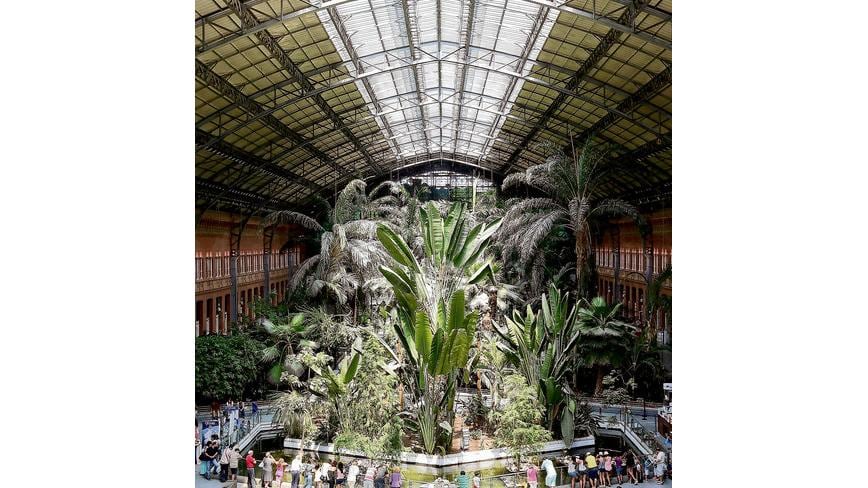 Estación de Atocha/Atocha Station, Madrid