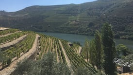 Mid-week tipple: A taste of Spanish sun at bargain prices