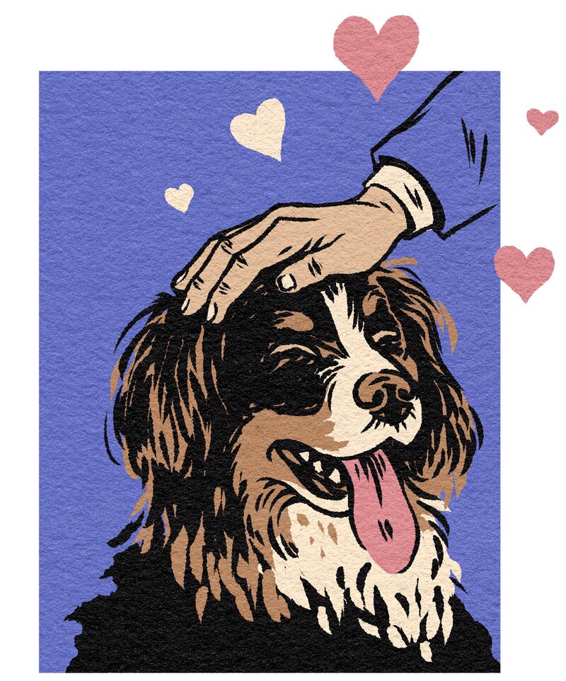 The nation mourned when we lost the elder hounds Bród and Síoda. Our hope now lies in Misneach. Illustration: Lauren O’Neill