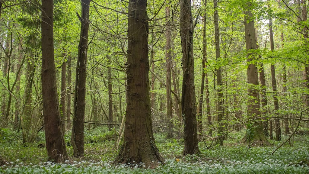 Climate change is already happening and farmers are learning to manage and adapt to its consequences. File photograph: Getty
