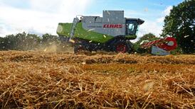 Heatwave may not have silver lining for growers