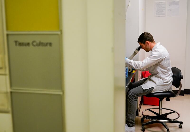 The medicines are designed to work for many patients. Photograph: AP