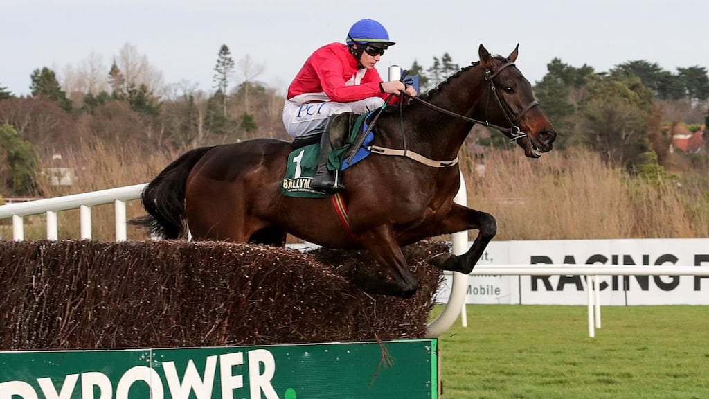 Allaho was set to feature on Sunday’s cancelled card at Thurles. Photograph: Laszlo Geczo/Inpho