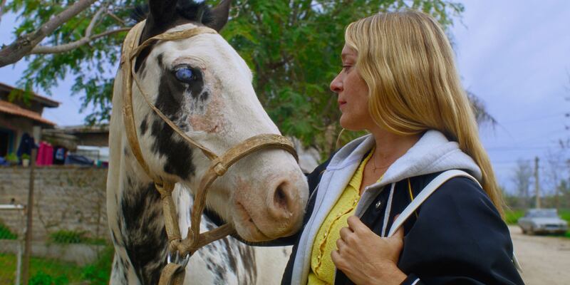 Chloë Sevigny in Magic Farm. Photograph: Mubi