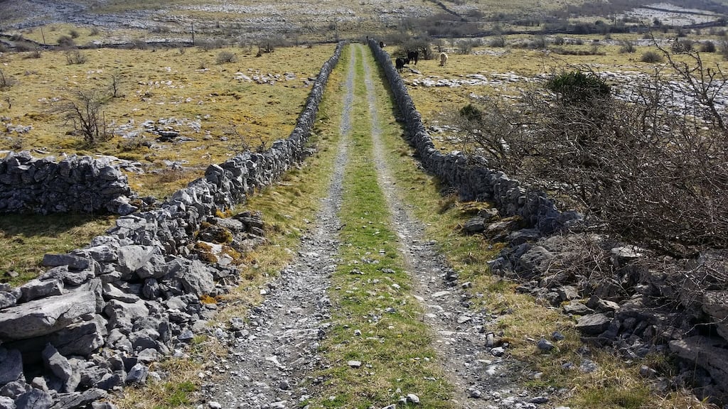 The Oireachtas climate change and environment committee was told that farmers in the Burren in Co Clare had seen opportunities and adapted after large areas of land were designated as special areas of conservation in the 1990s. Photograph: Frank Miller