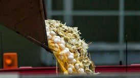 Irish poultry farmers urged to be vigilant over bird flu