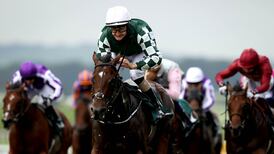 Jessica Harrington’s Lucky Vega favourite for Irish 2,000 Guineas