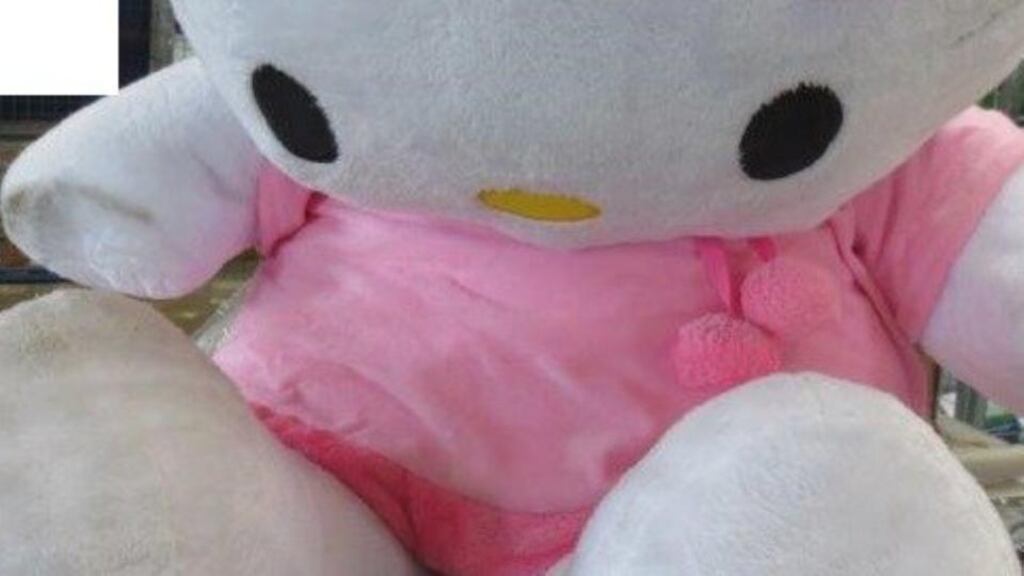 Revenue officers working with gardaí discovered the drugs concealed inside a large soft toy at a house in Dublin 15 on Wednesday morning. Photograph: Garda Press Office