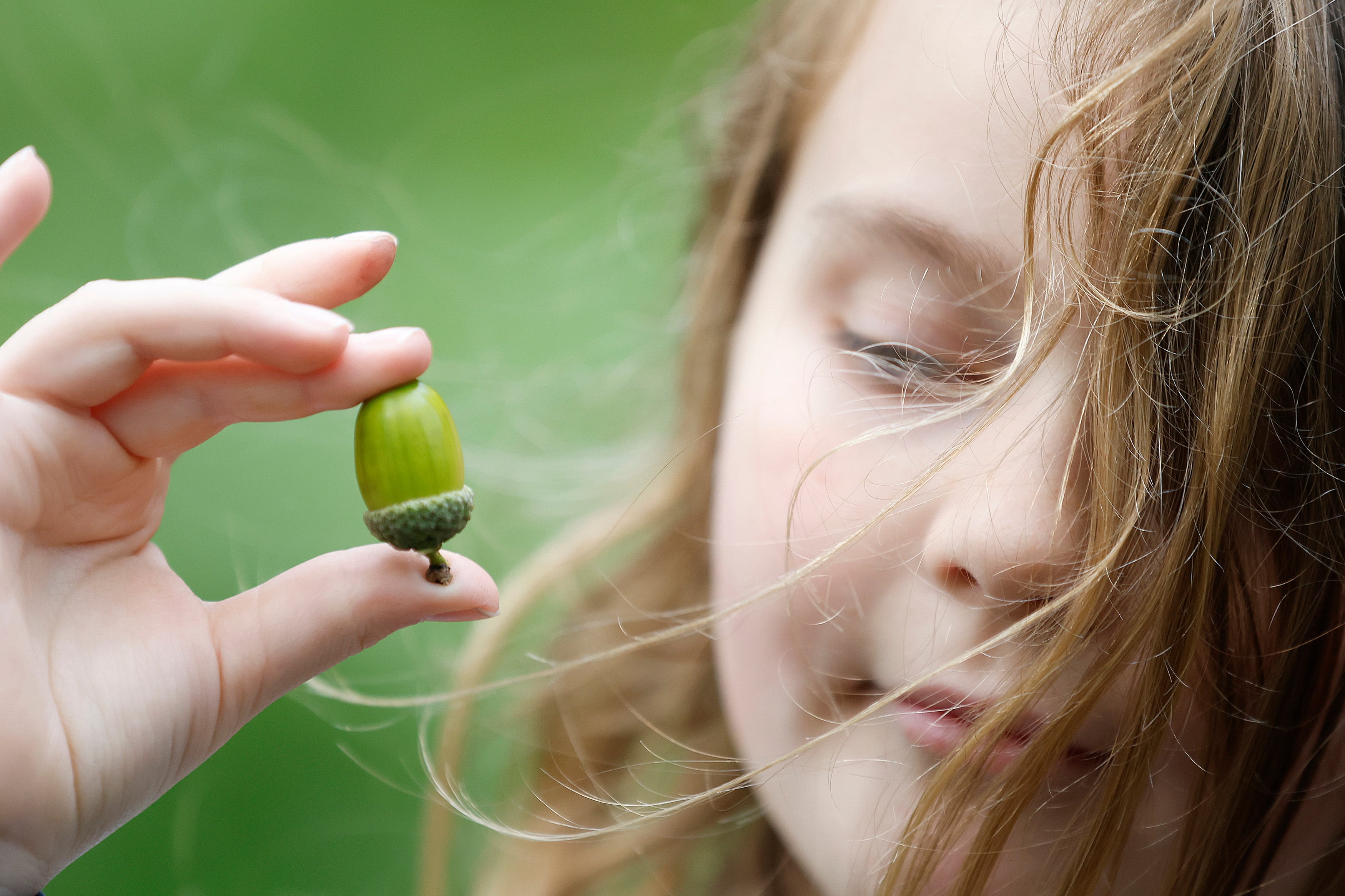 It’s proving to be a bumper autumn for nuts. But why?