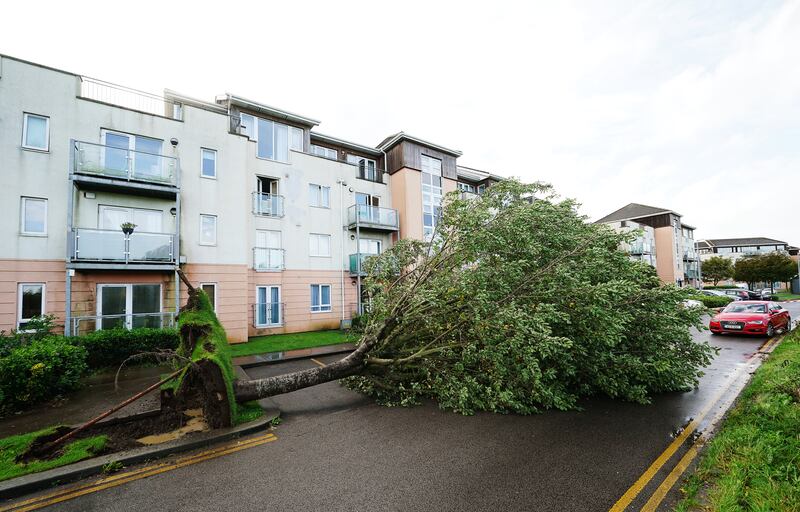 Storm Agnes: A fallen tree on Thornleigh Road in Swords, Co Dublin. Photograph: Brian Lawless/PA Wire