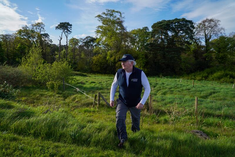 Kieran Buckley in woodlands near Cherrywood in Dublin where he uncovered a gang hunting badgers. Photograph: Enda O'Dowd